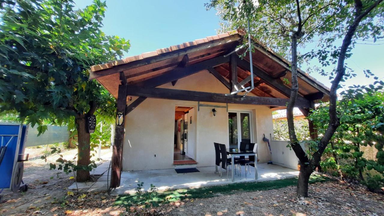 Promo 2-9Juin Gite 6 Personnes Toulouse 7Mn Du Metro 4 Lits Terrasses Gragnague Exterior photo