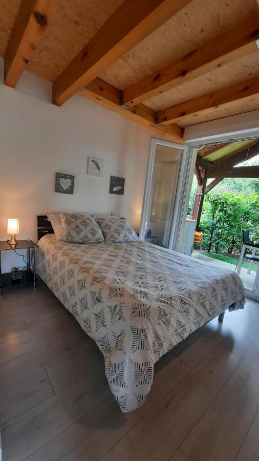 Promo 2-9Juin Gite 6 Personnes Toulouse 7Mn Du Metro 4 Lits Terrasses Gragnague Exterior photo